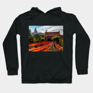 Po Lin Monastery, Lantau Island, Hong Kong Hoodie